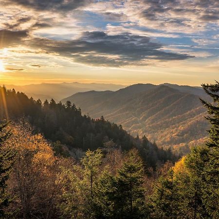 City Bear, 2Br, Pool, Spa, Downtown Gatlinburg, Sleeps 6 Apartment ภายนอก รูปภาพ