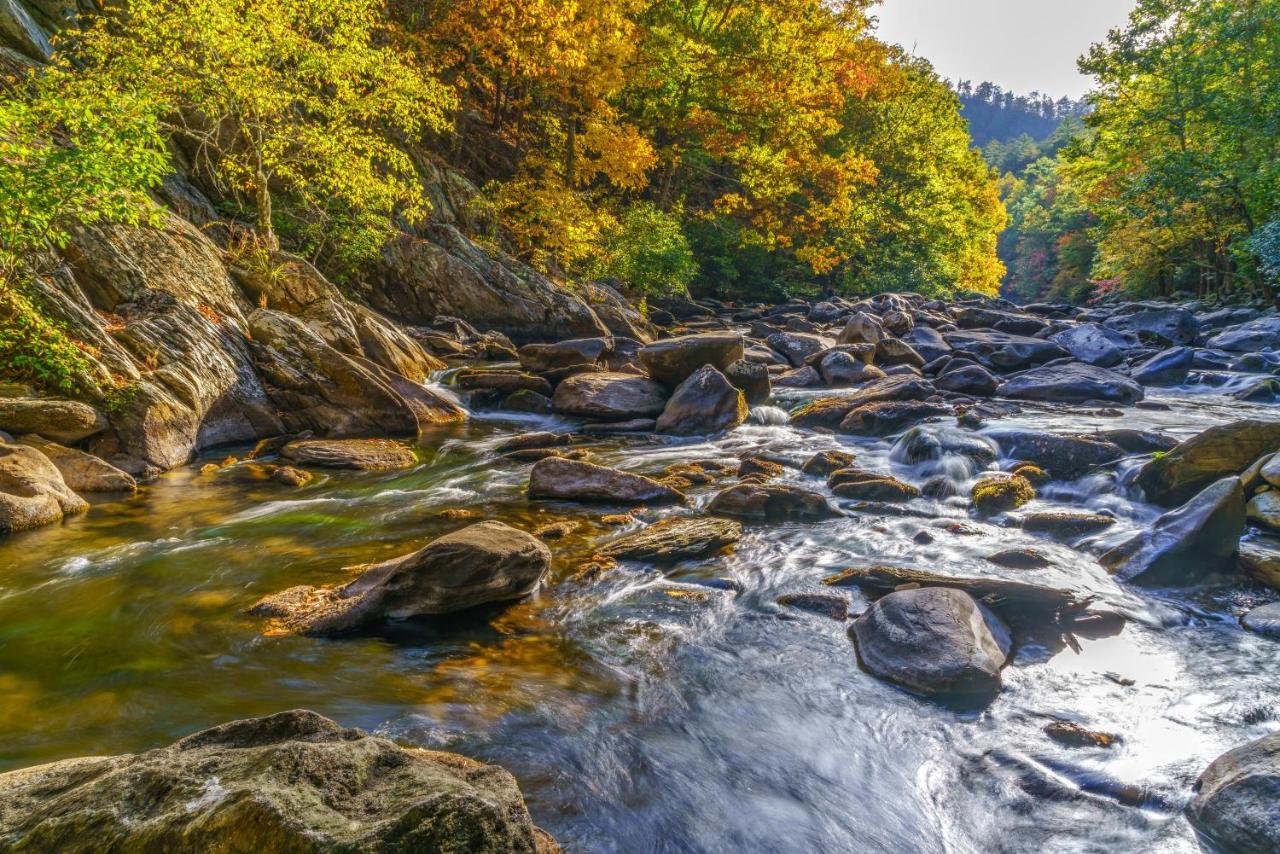 City Bear, 2Br, Pool, Spa, Downtown Gatlinburg, Sleeps 6 Apartment ภายนอก รูปภาพ